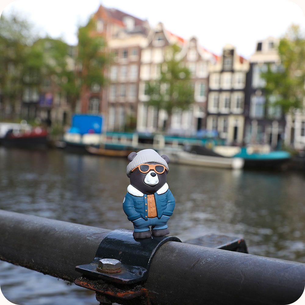 Frank the sourcing bear in Amsterdam